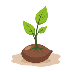 Tree growing from seed with roots and leaves, nature's rebirth