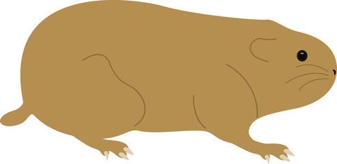 Wild Polar Lemming