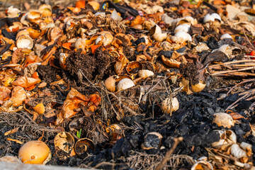 Compost heap with various food and organic waste close-up. Production of organic fertilizer for the garden, secondary use of resources