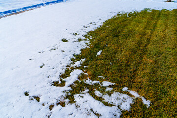 Green grass under the snow on a sunny day in late winter. The snow melts and the grass turns green