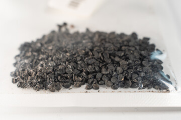 Onion seeds in transparent packaging close-up on a white background