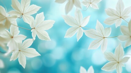 White Leaves with Dew Drops on Aqua Background