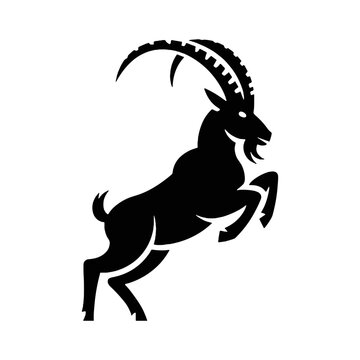A black silhouette of an ibex (wild goat) vector