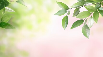 Obraz premium Vibrant green leaves on pink backdrop, striking contrast of color and texture