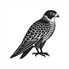 Falcon Silhouette Majestic Bird of Prey Wildlife Vector Design