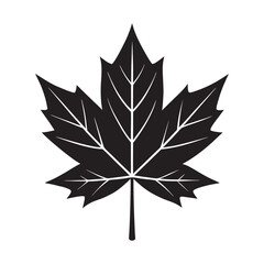 Obraz premium Maple leaf silhouette autumn foliage nature symbol vector design
