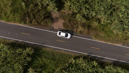 Aerial bird view photo of photovoltaic power station also known as a solar park is large-scale...