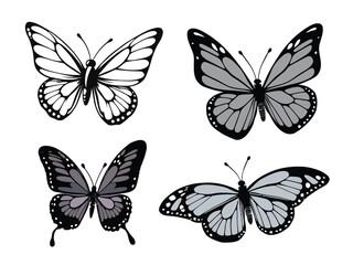 Butterfly Black and white silhouette vector set
