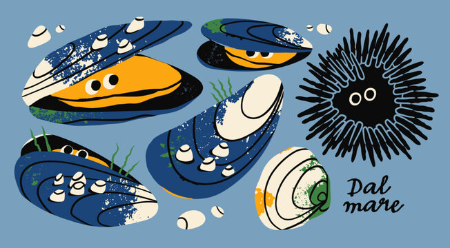 Sea Mussels, clam, shellfish, urchin set. Cartoon style cute characters with eyes. Hand drawn trendy Vector illustration. Sea or ocean creature, natural fresh seafood concept. Isolated design elements