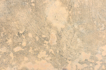 old wall texture
