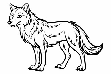 coloring page line art the wolf vector