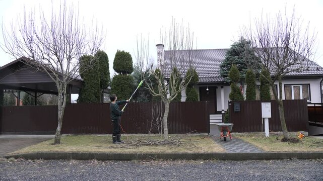 Gardener pruning trees with telescopic lopper in a residential garden