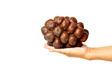 Hand is holding Salak (Salacca zalacca and snake fruit) with a white background