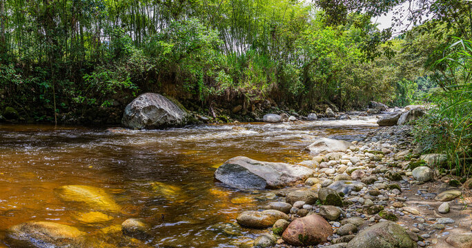 Gently flowing river, with clear water and different sizes of rocks. Green vegetation