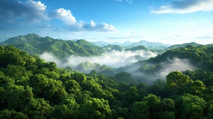 Bright forest landscape with a clear blue sky above green trees creating a vibrant and inviting natural environment © Rattapoom