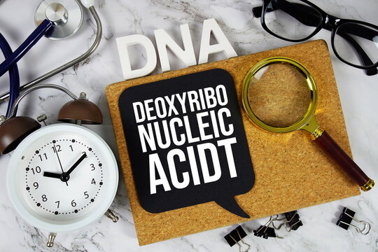 DNA - Deoxyribonucleic Acid acronym with stethoscope, magnifying glass and alarm clock, medical and healthcare concept background