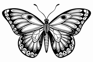 coloring page line art the butterfly black vector