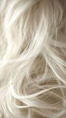 Naklejka premium An isolated close-up of a single white hair against a soft background highlighting its texture