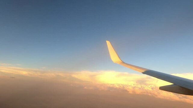 Fly 0346 LAS PHX