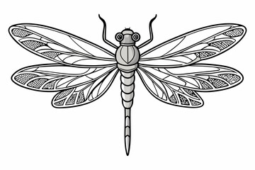 coloring page line art the dragonfly black vector