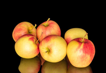 Ripe juicy apples isolated on black background, macro.