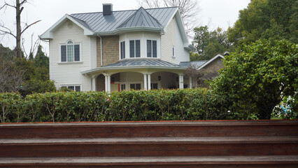 birds in the wildlife