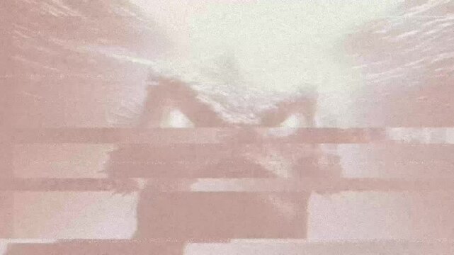 The Leviathan