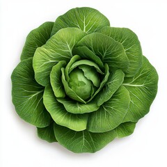Fototapeta premium Vibrant Green Cabbage Closeup, Detailed Texture, Isolated on White