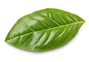 Obraz premium Vibrant Green Leaf Isolated on White Background