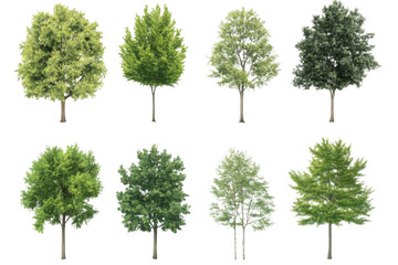 Ten Green Trees Stand Against Black Background, Urban Forestry and Tree Diversity.