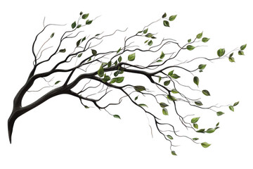 Tree Branch Grows Leaves Gently in The Wind, Spring Season Theme
