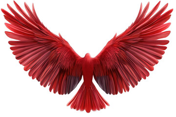 Fototapeta premium Red Bird Spreads its Majestic Wings Gracefully in Air with Power and Beauty.