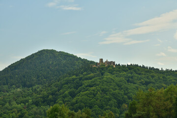 Old Zborov Castle ruins in Slovakia ruins in the green forest in the background 
