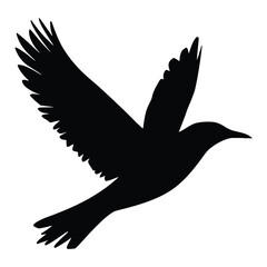 bird silhouette, bird logo, flying bird logo, bird design vector, bird outline, black bird vector, bird icon, bird graphic, minimal bird logo, bird logo design, bird logo template, bird symbol, bird t