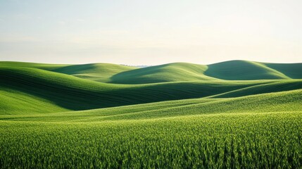 Naklejka premium Vibrant green hills undulate under a clear sky, showcasing the beauty of nature in a tranquil landscape.