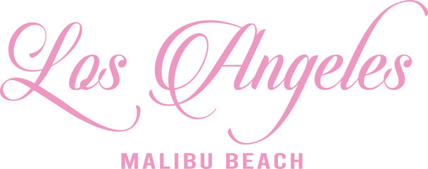 california college oversized letters modern college pink  USA team College Campus University Tshirt Graphic Fashion logo Trending Apparel Cute Emblem Slogan 
