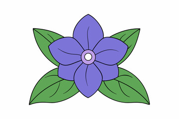 pink flower isolated on white