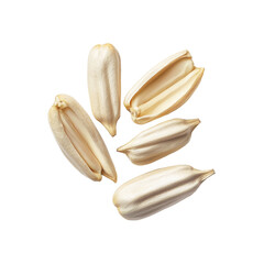 A sunflower seeds Transparent  png.