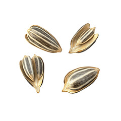 A sunflower seeds Transparent  png.