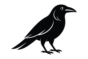 vector illustration of an eagle