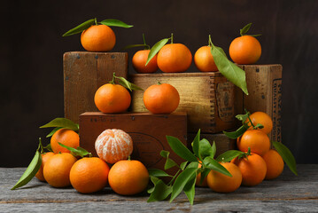 Fresh picked clementine oranges on assorted wood crates, in a rustic packing house atmosphere.