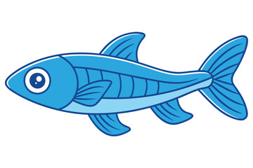 fish isolated on white background