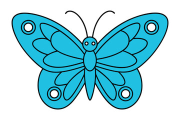 butterfly on white background