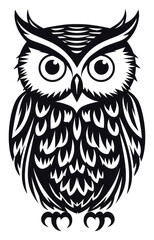 Fototapeta premium PNG Night owl drawing animal sketch.