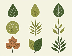 green leaves collection