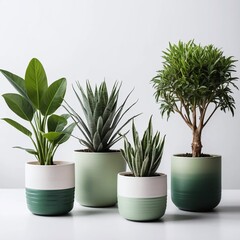 Green cement pots with various plants