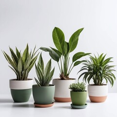 Rounded cement pots with beautiful plants