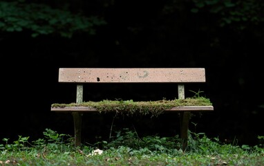Empty weathered park bench overgrown with moss in a shadowy forest setting