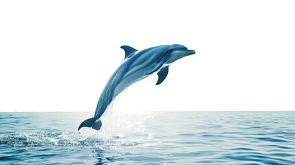 Playful Dolphin Leaping Joyfully Mid Air Showcasing Sleek Physique isolated on White Background. Swimming in clear waters, showcasing natural beauty of marine wildlife in a stunning underwater scene.