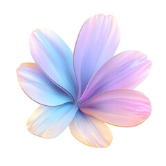 Fototapeta premium frangipani flower isolated on white